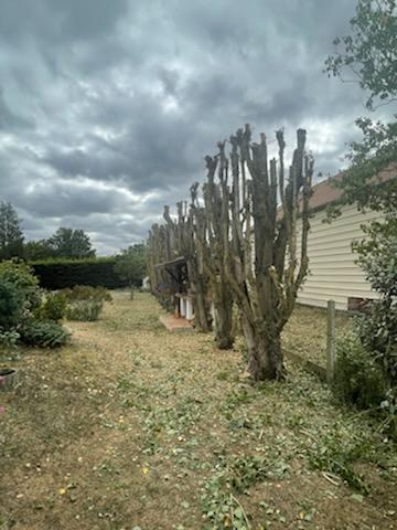 Img 2706